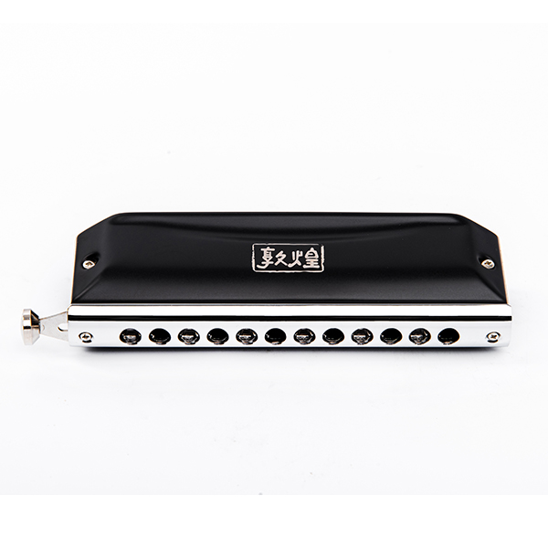 D1248