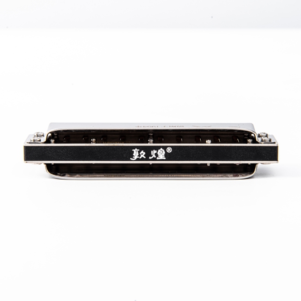 D1008