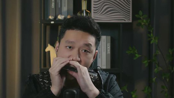 24孔专业颤音口琴